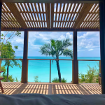 Skylarking Cottage Eleuthera